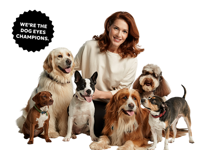 Dogs Group